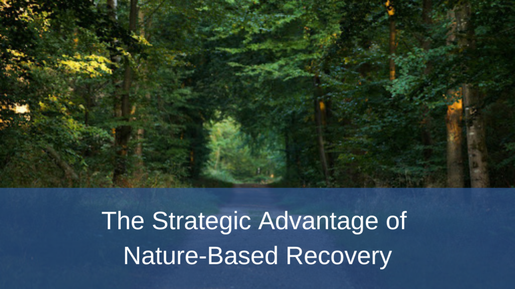 Nature-Based Recovery