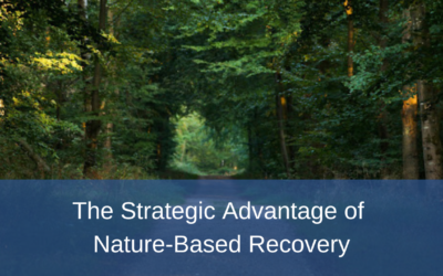 Nature-Based Recovery: The Strategic Advantage for Workplace Wellness