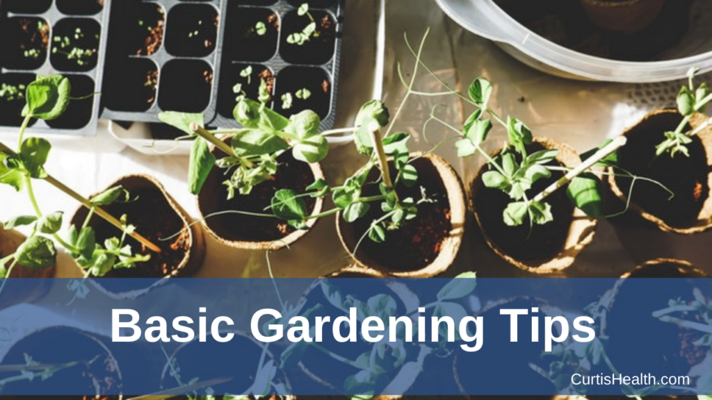 Basic Gardening Tips