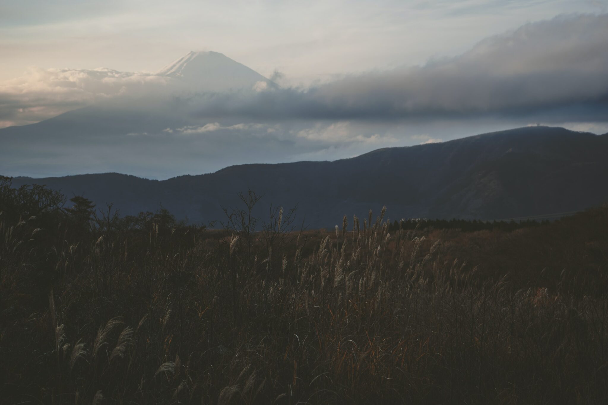 Morning dark. Пасмурный день. Moon cloudy Mountain grassy.